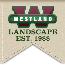 Westland Landscape